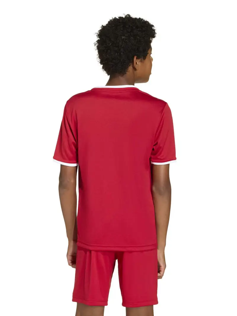 Maglia funzionale ENT26 rosso / bianco miniatura 3