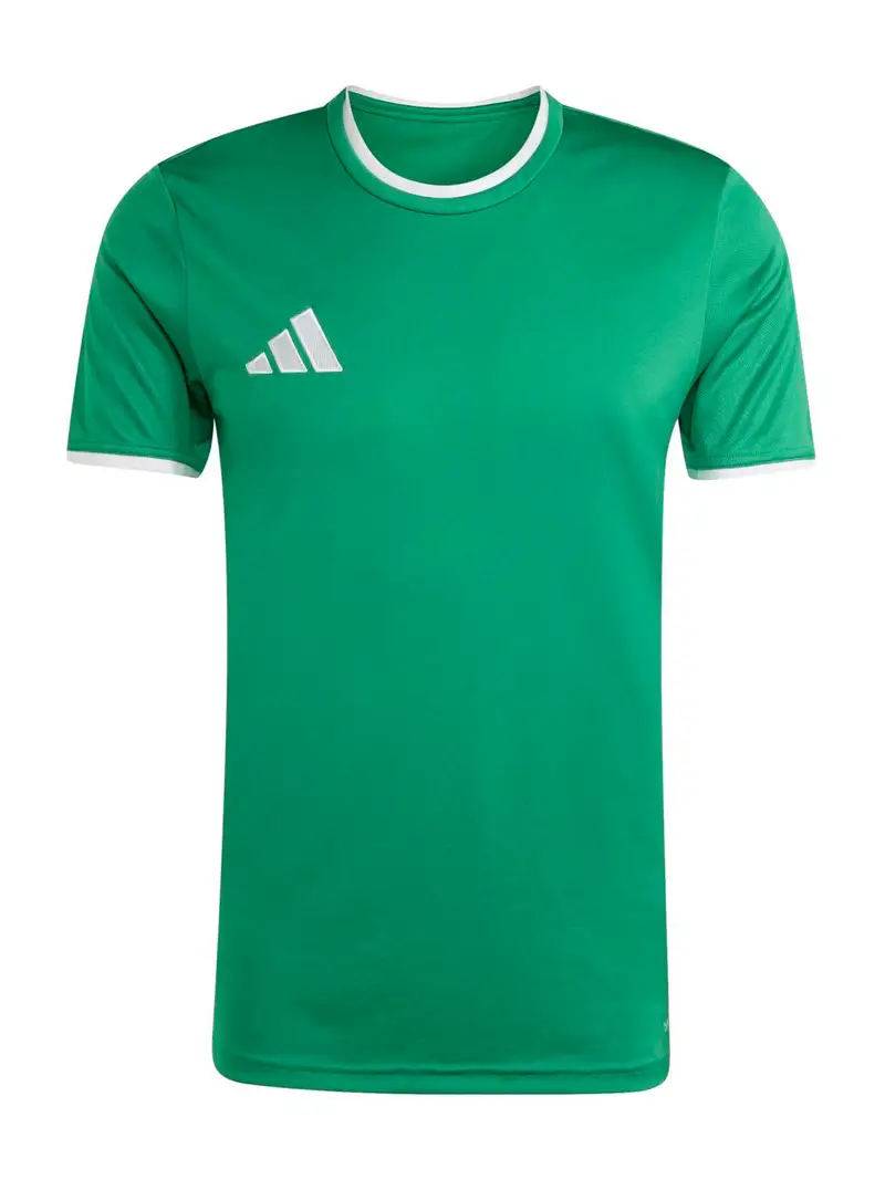 Maglia funzionale ENT26 verde