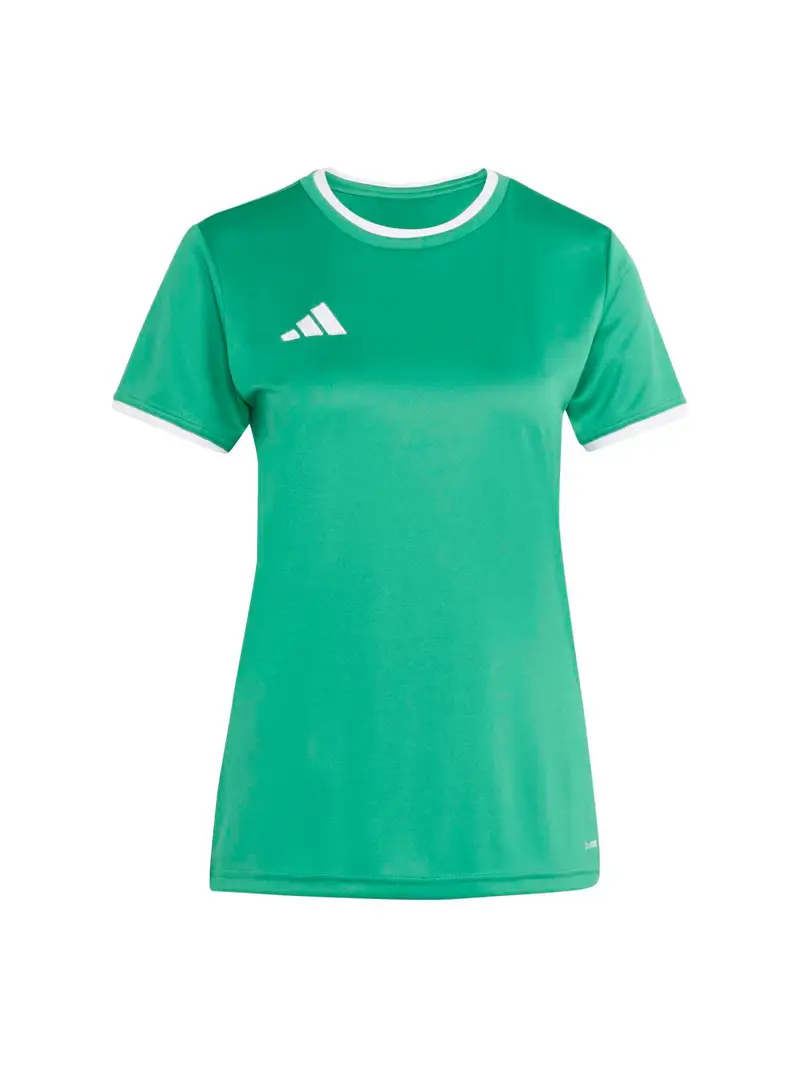 Maglia funzionale ENT26 verde / bianco