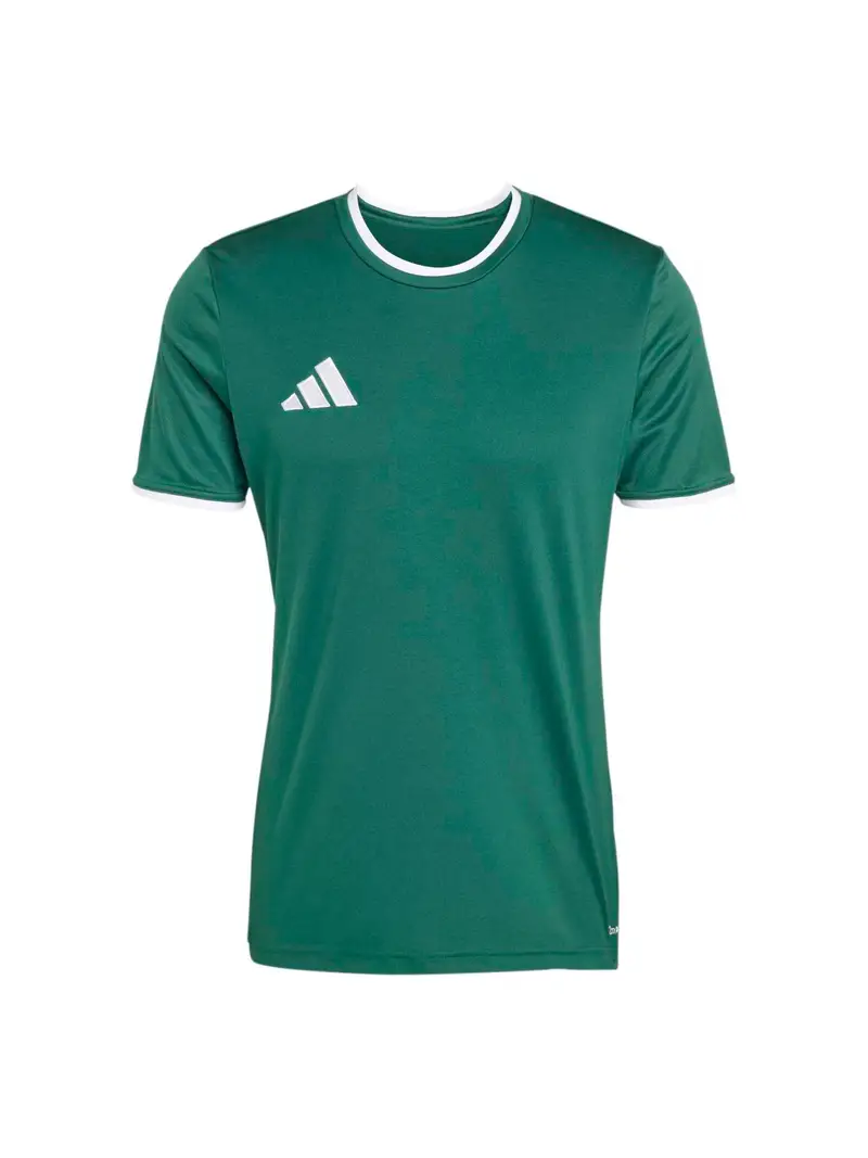 Maglia funzionale ENT26 verde / bianco