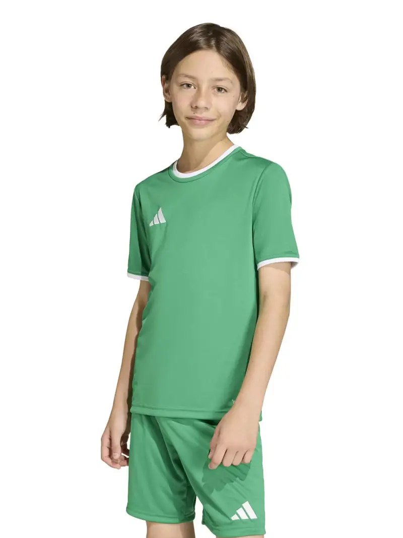 Maglia funzionale ENT26 verde / bianco miniatura 2