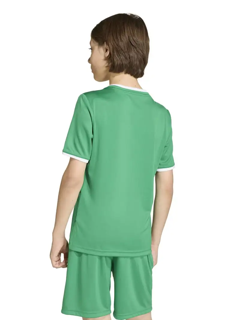 Maglia funzionale ENT26 verde / bianco miniatura 3