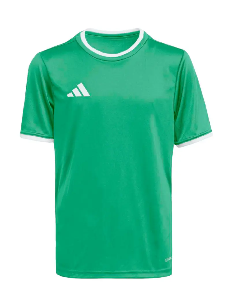 Maglia funzionale ENT26 verde / bianco