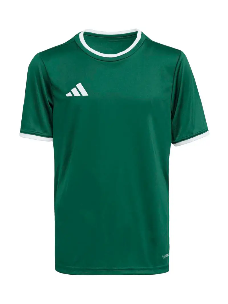 Maglia funzionale ENT26 verde scuro / bianco