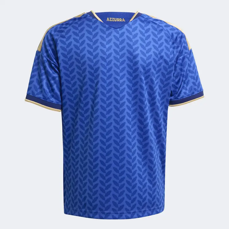 Maglia funzionale 'FIGC H JSY Y' beige / blu / azzurro / rosso miniatura 2