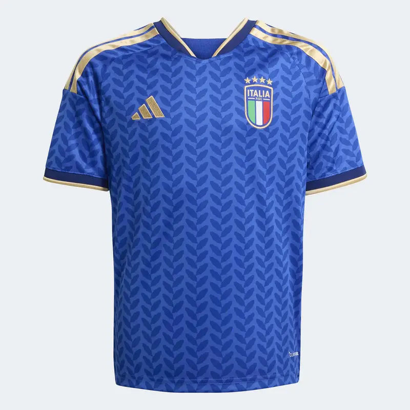 Maglia funzionale 'FIGC H JSY Y' beige / blu / azzurro / rosso