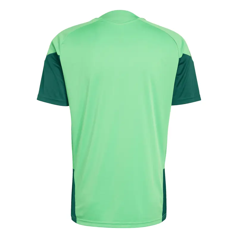 Maglia funzionale 'FMF' smeraldo / verde chiaro miniatura 2