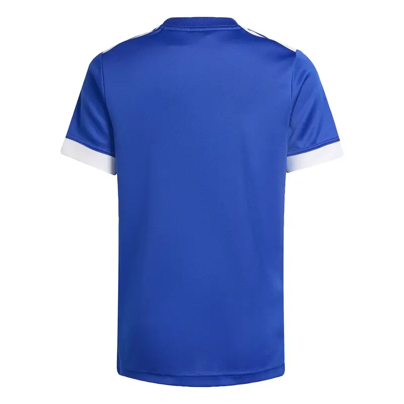 Maglia funzionale 'Frankreich Rugby Home' blu / rosso / bianco miniatura 2