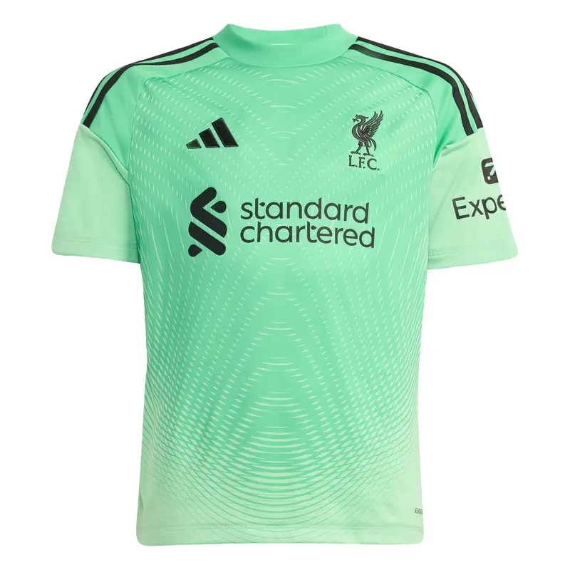 Maglia funzionale 'Liverpool FC 25/26' verde pastello / verde chiaro / nero