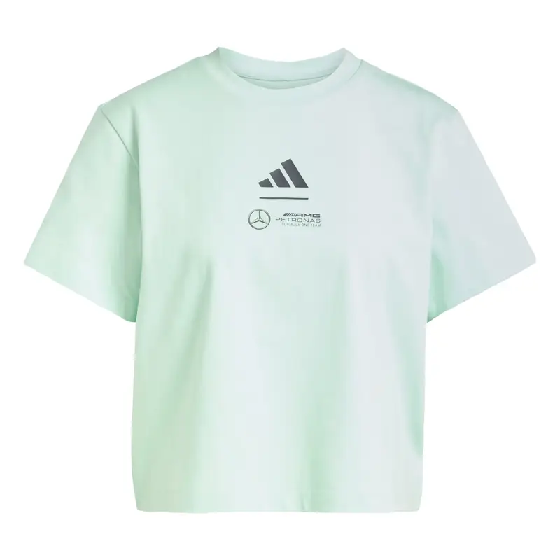 Maglia funzionale 'Mercedes - AMG Petronas Formula One Team' grigio / menta