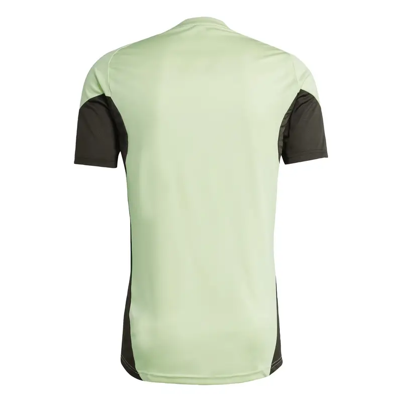 Maglia trikot Real Madrid Tiro 25 Competition grigio scuro / verde pastello miniatura 3