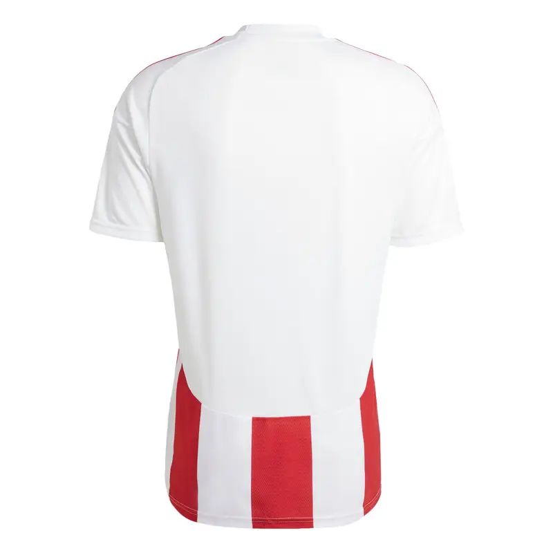 Maglia trikot 'Striped 24' rosso sangue / bianco miniatura 3