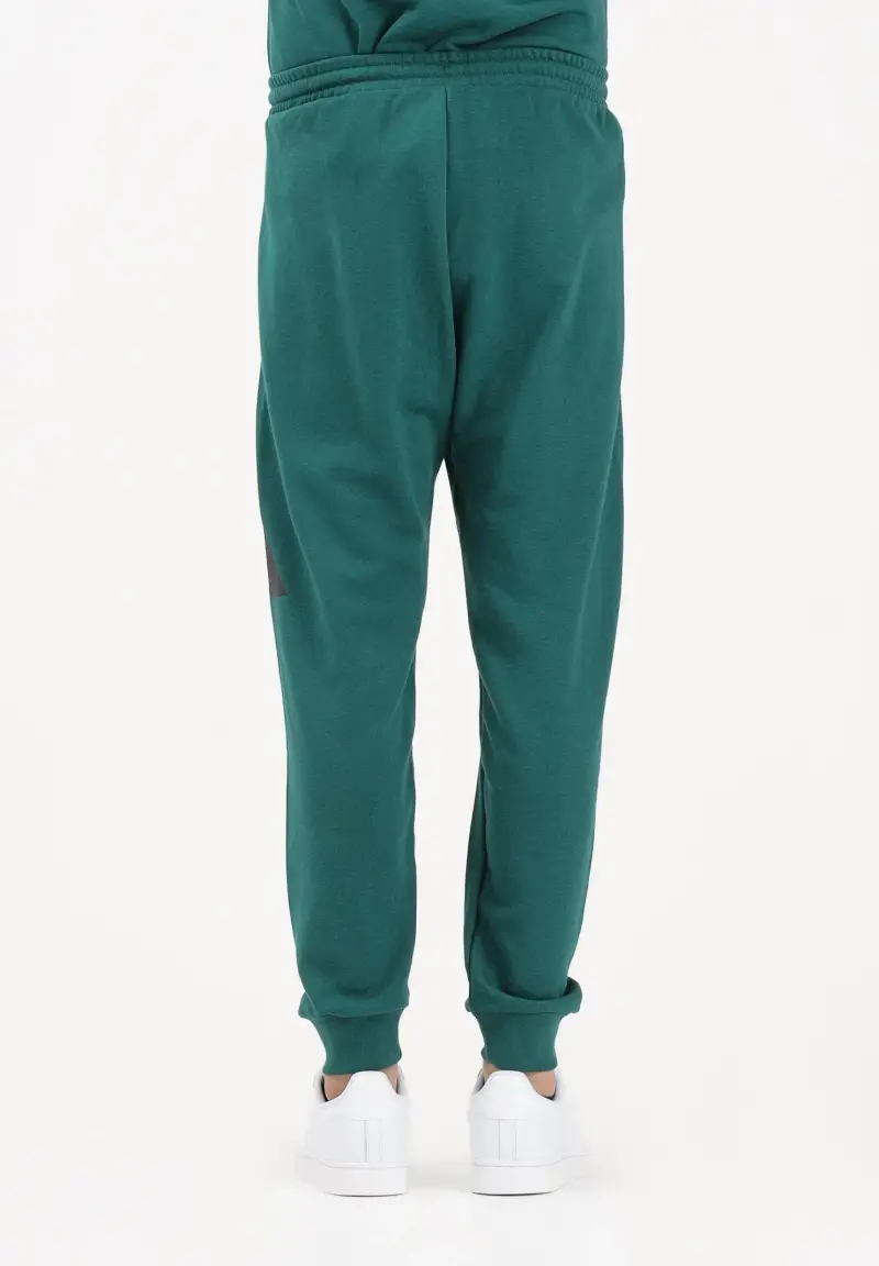 Pantalone sportivo Essentials Big Logo French Terry verde da uomo miniatura 3