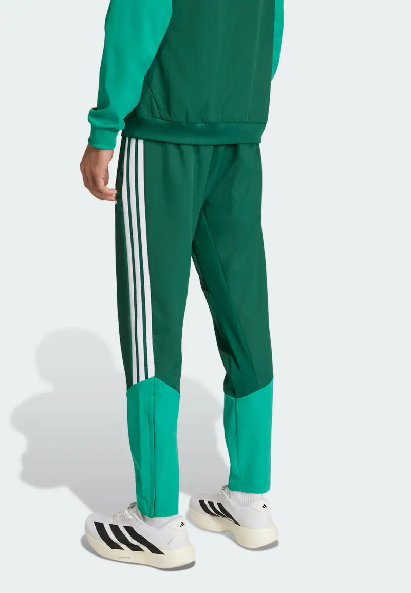 Pantaloni sportivi 'Algerien 26' smeraldo / verde scuro / bianco miniatura 3