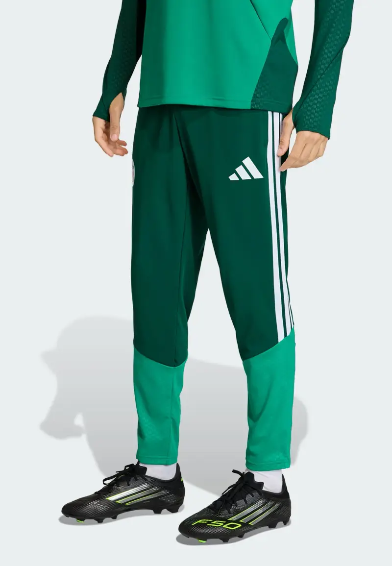 Pantaloni sportivi 'Algerien 26' verde / abete / bianco miniatura 2