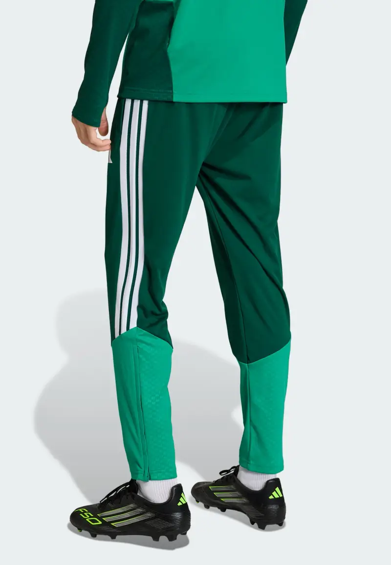 Pantaloni sportivi 'Algerien 26' verde / abete / bianco miniatura 3