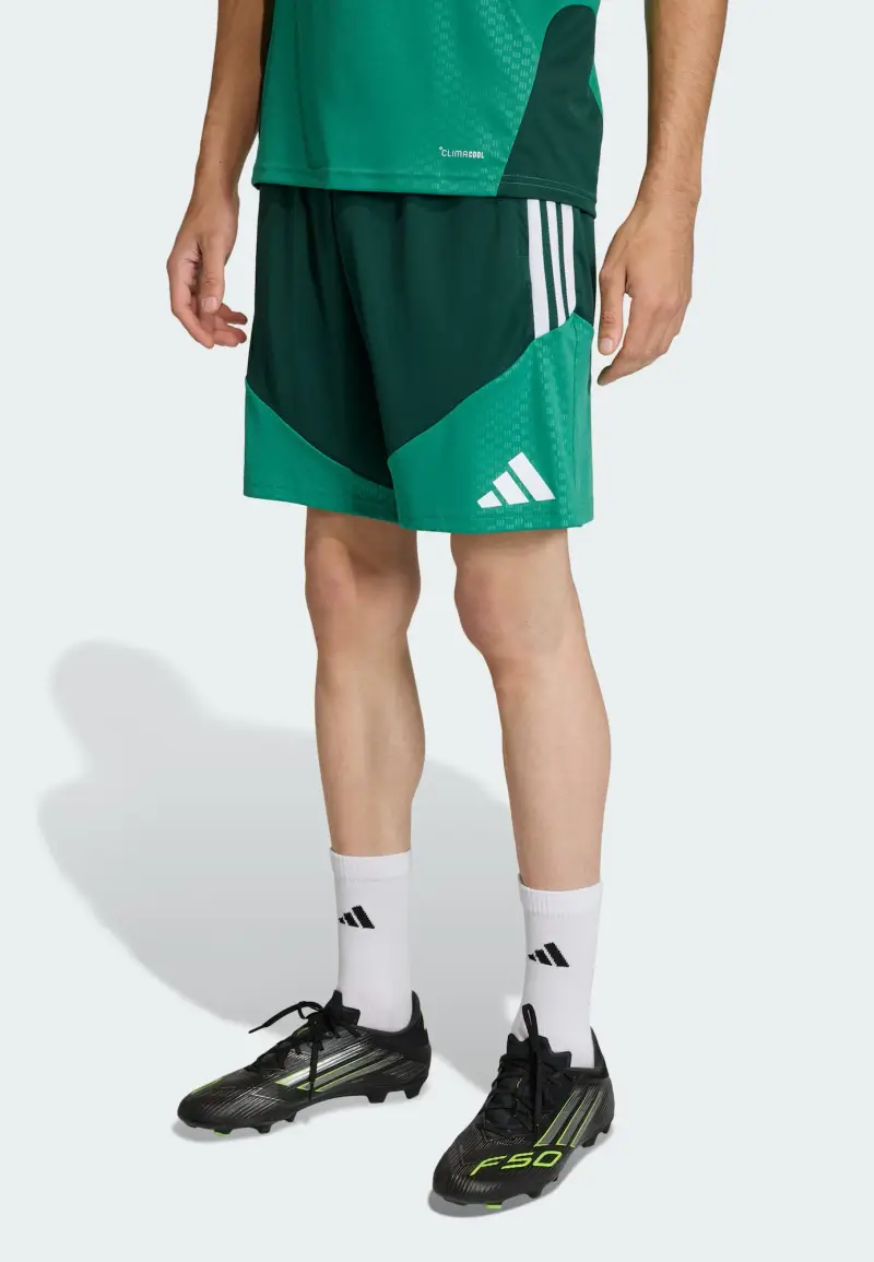 Pantaloni sportivi 'Algerien 26' verde / verde scuro / rosso / bianco miniatura 2