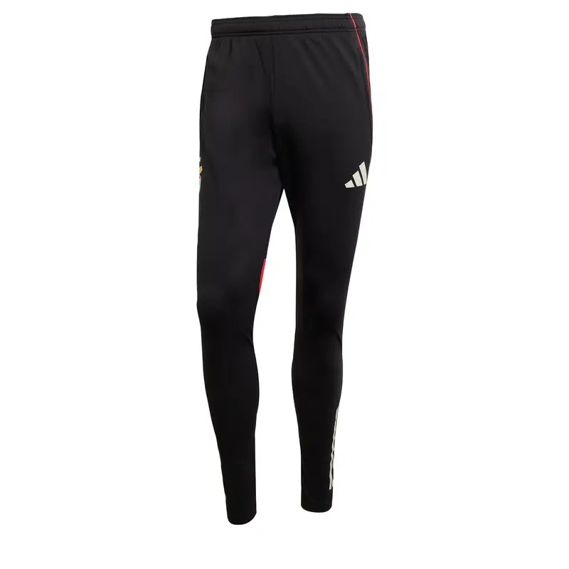 Pantaloni sportivi 'Benfica Lissabon Tiro 25 Competition' rosso / nero / bianco