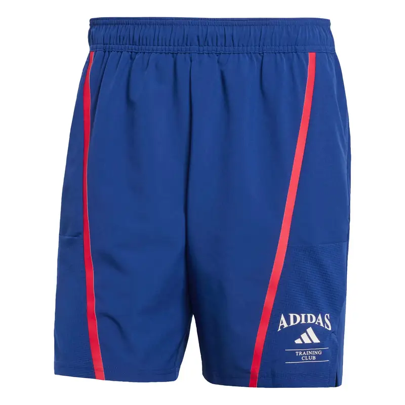 Pantaloni sportivi 'Designed Fot Training Legacy' genziana / granatina / bianco