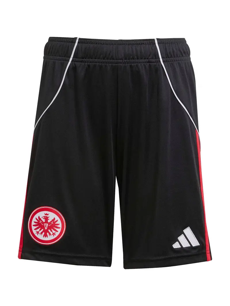 Pantaloni sportivi 'Eintracht Frankfurt 25/26' mirtillo / nero / bianco