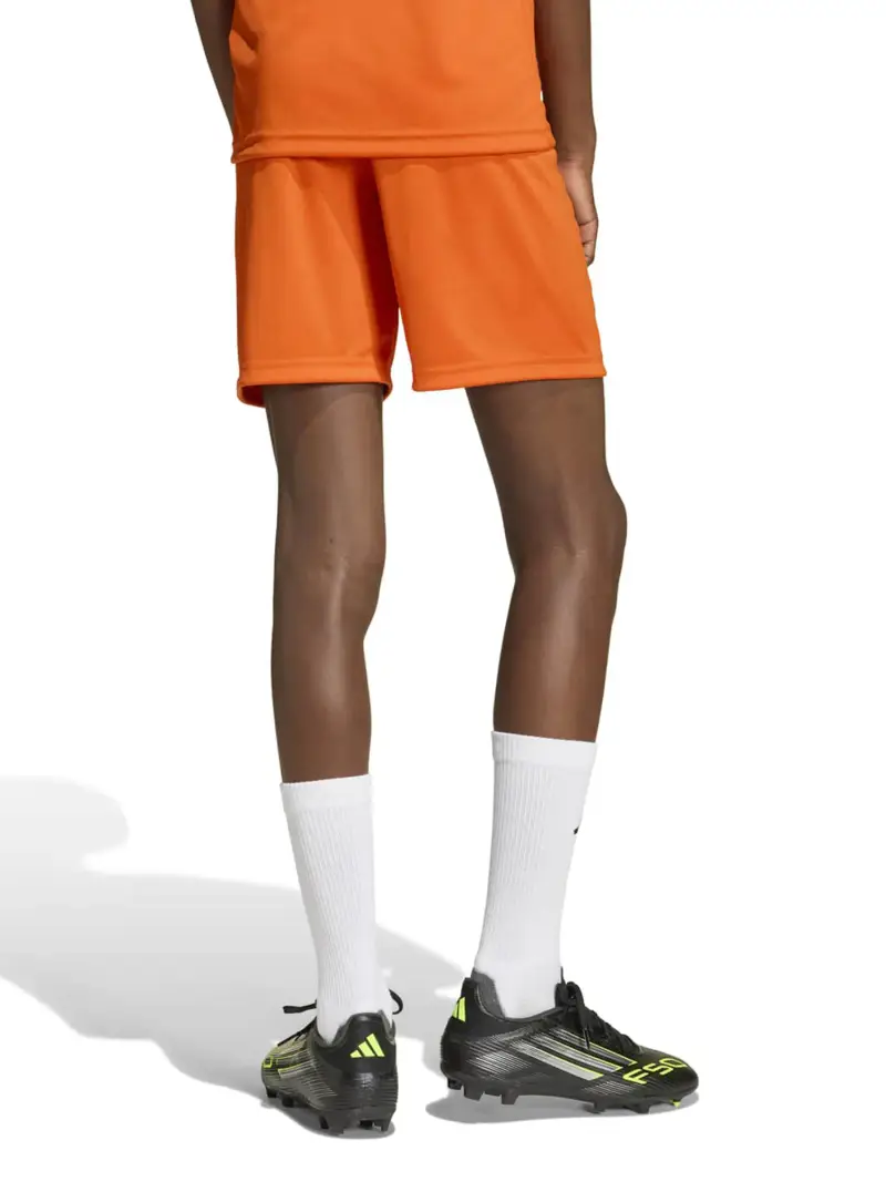 Pantaloni sportivi ENT26 arancione miniatura 3