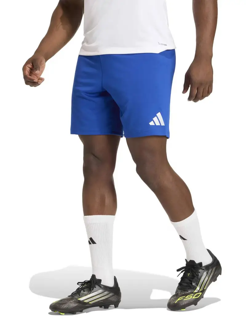 Pantaloni sportivi ENT26 blu / bianco miniatura 2