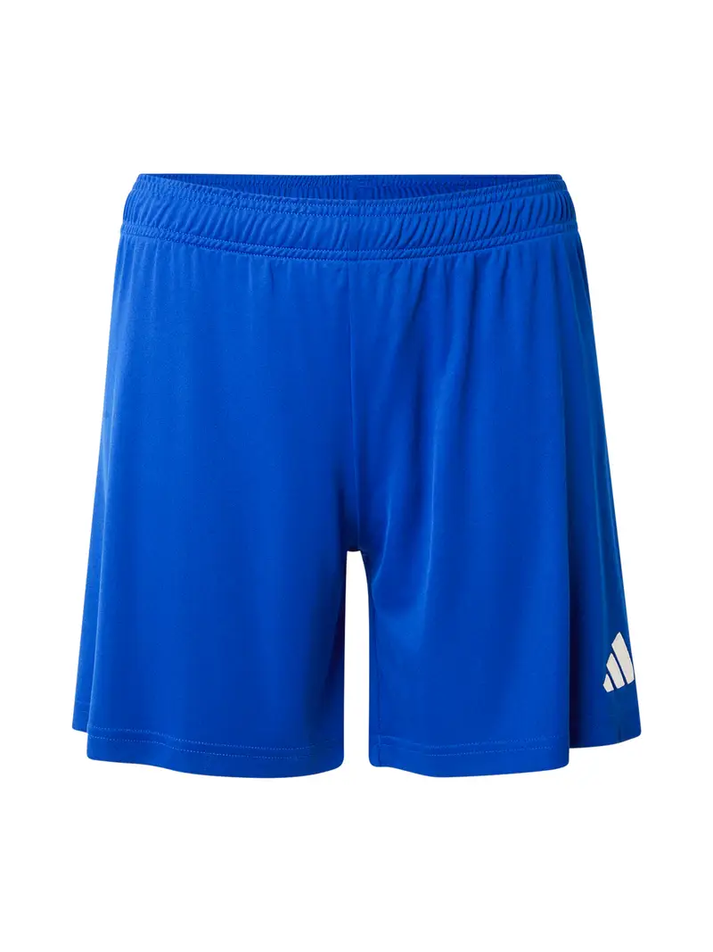 Pantaloni sportivi ENT26 blu / bianco