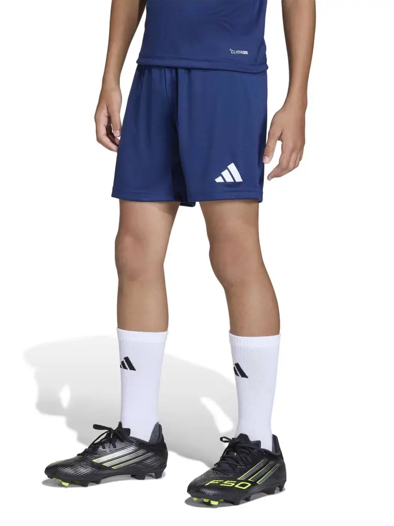 Pantaloni sportivi ENT26 blu scuro / bianco miniatura 2