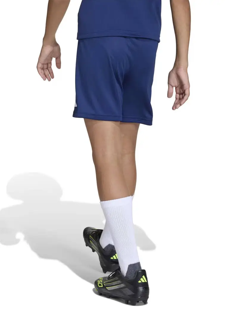 Pantaloni sportivi ENT26 blu scuro / bianco miniatura 3