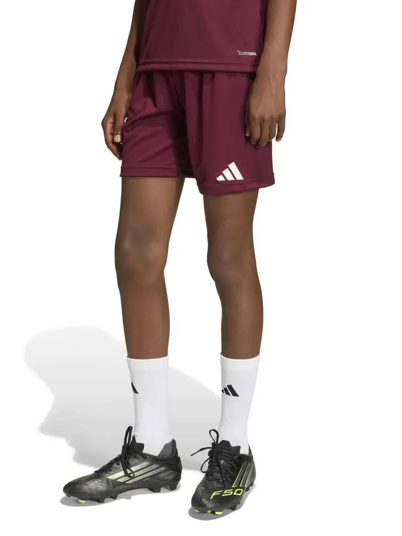 Pantaloni sportivi ENT26 borgogna / bianco miniatura 2