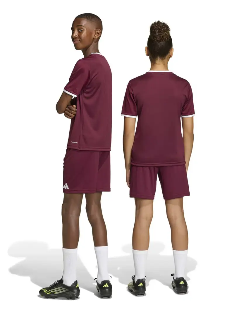 Pantaloni sportivi ENT26 borgogna / bianco miniatura 3