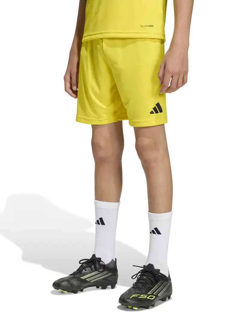 Pantaloni sportivi ENT26 giallo chiaro / nero miniatura 2