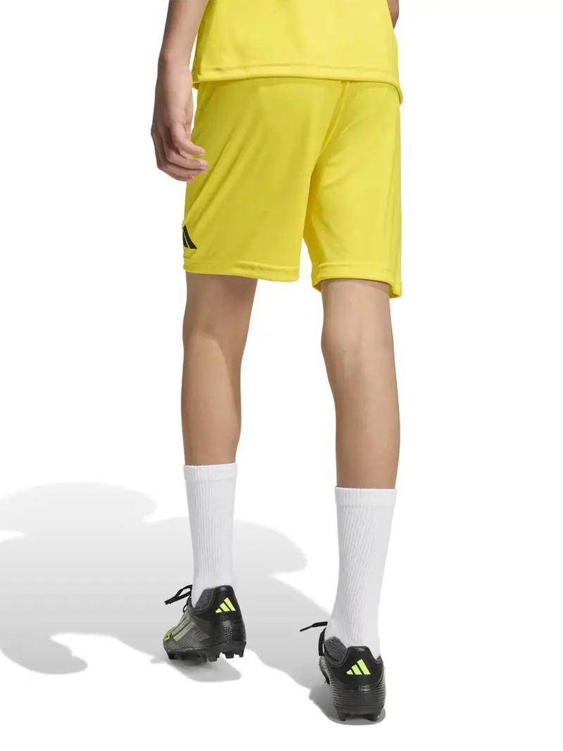 Pantaloni sportivi ENT26 giallo chiaro / nero miniatura 3