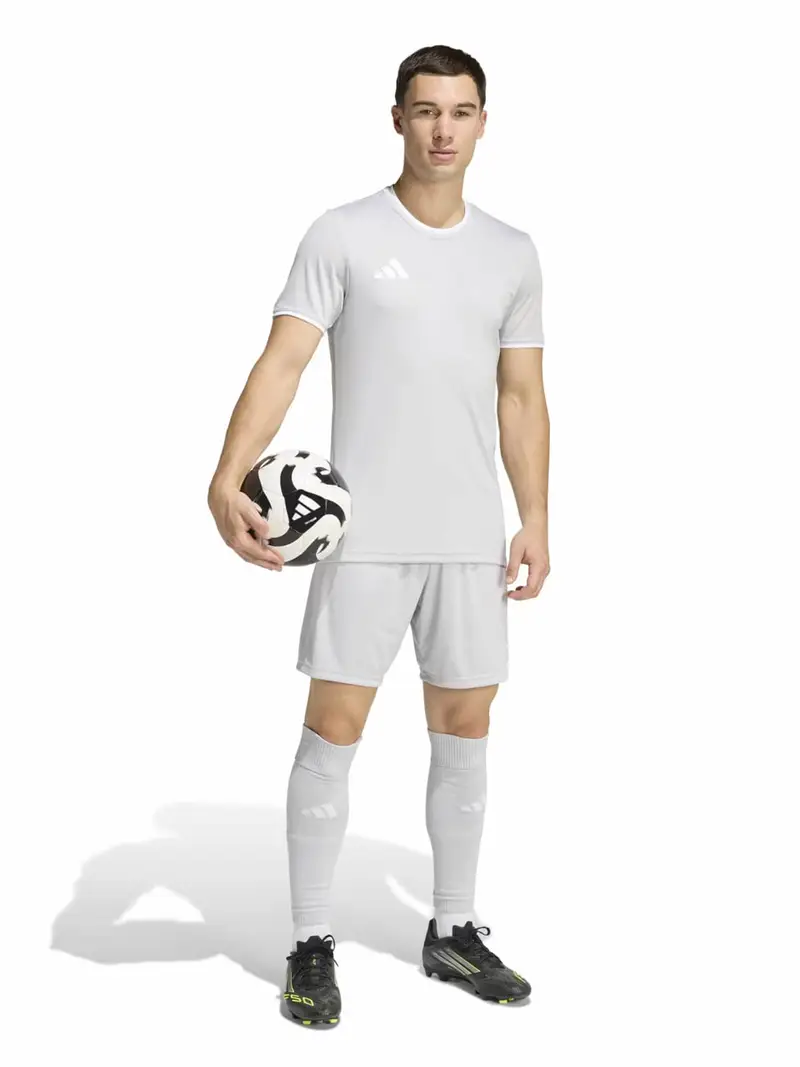 Pantaloni sportivi ENT26 grigio / bianco miniatura 3