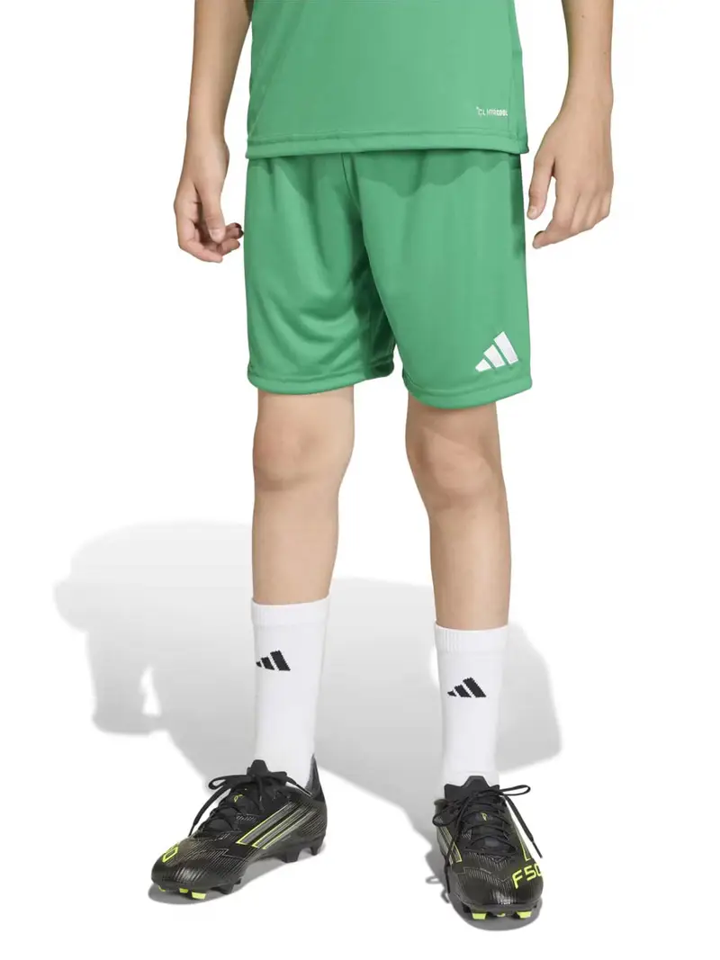 Pantaloni sportivi ENT26 lime / bianco miniatura 2