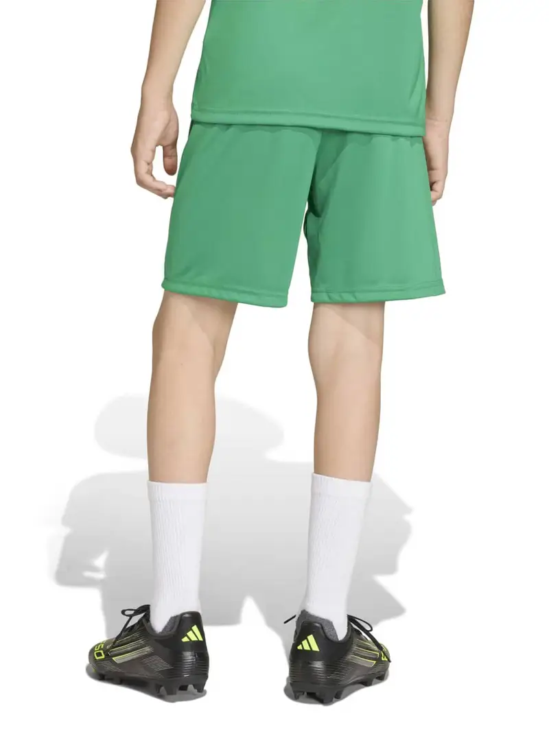 Pantaloni sportivi ENT26 lime / bianco miniatura 3