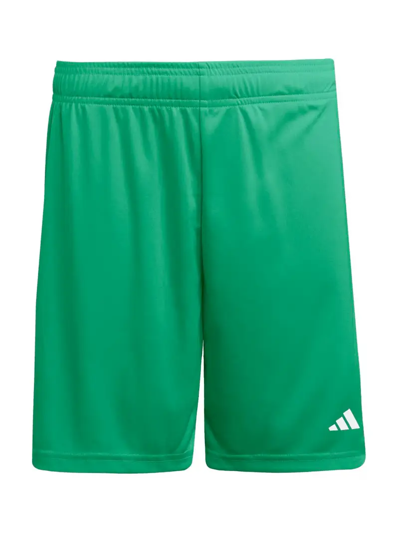 Pantaloni sportivi ENT26 lime / bianco