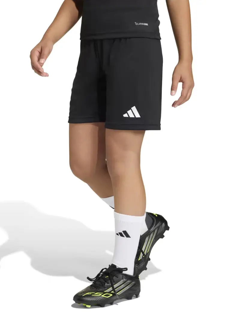 Pantaloni sportivi ENT26 nero / bianco miniatura 2