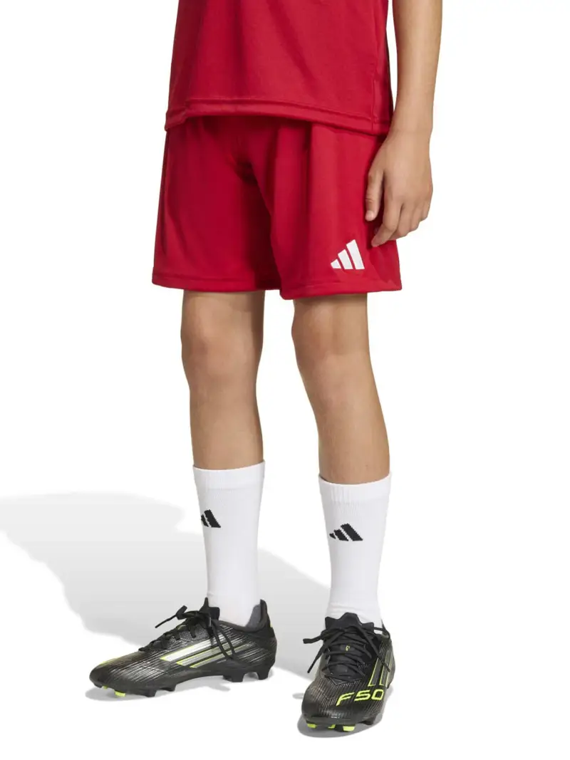 Pantaloni sportivi ENT26 rosso sangue / bianco miniatura 2