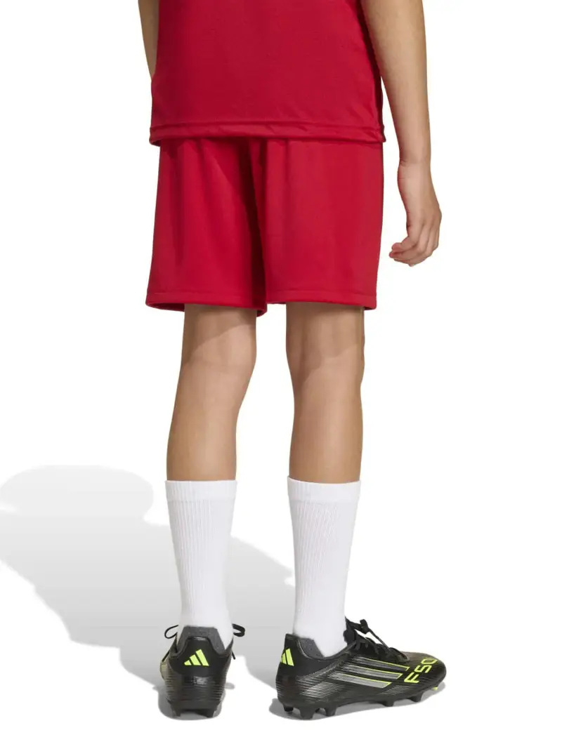 Pantaloni sportivi ENT26 rosso sangue / bianco miniatura 3