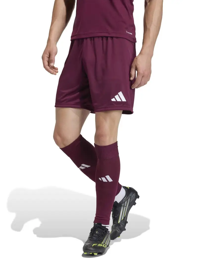 Pantaloni sportivi ENT26 rosso vino / bianco miniatura 2