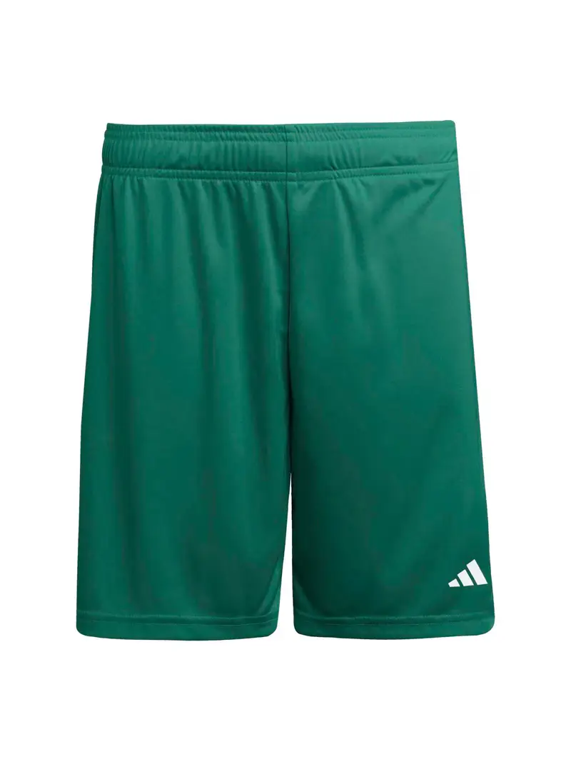 Pantaloni sportivi ENT26 verde
