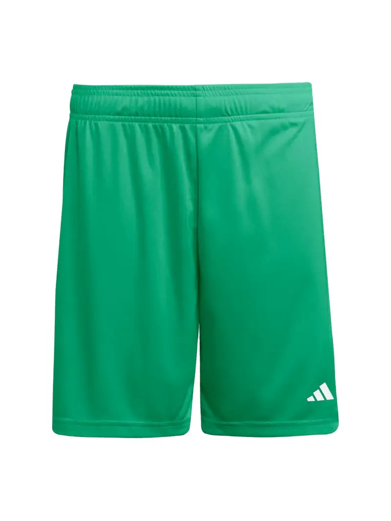 Pantaloni sportivi ENT26 verde / bianco