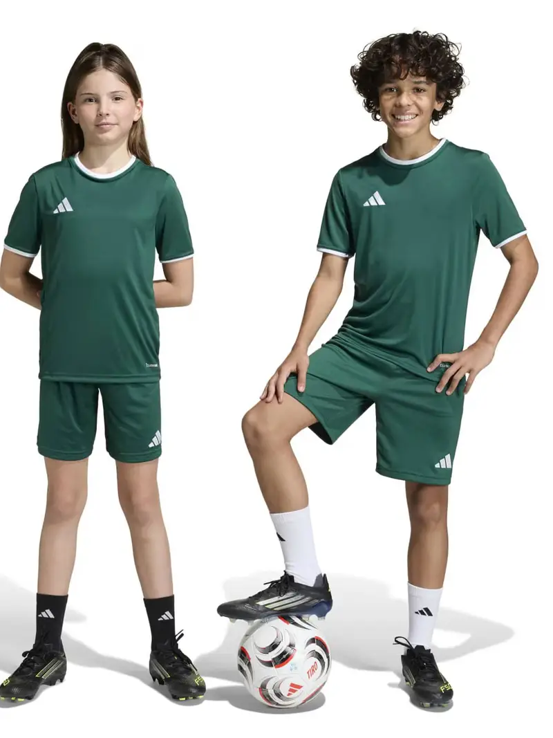 Pantaloni sportivi ENT26 verde scuro / bianco miniatura 2