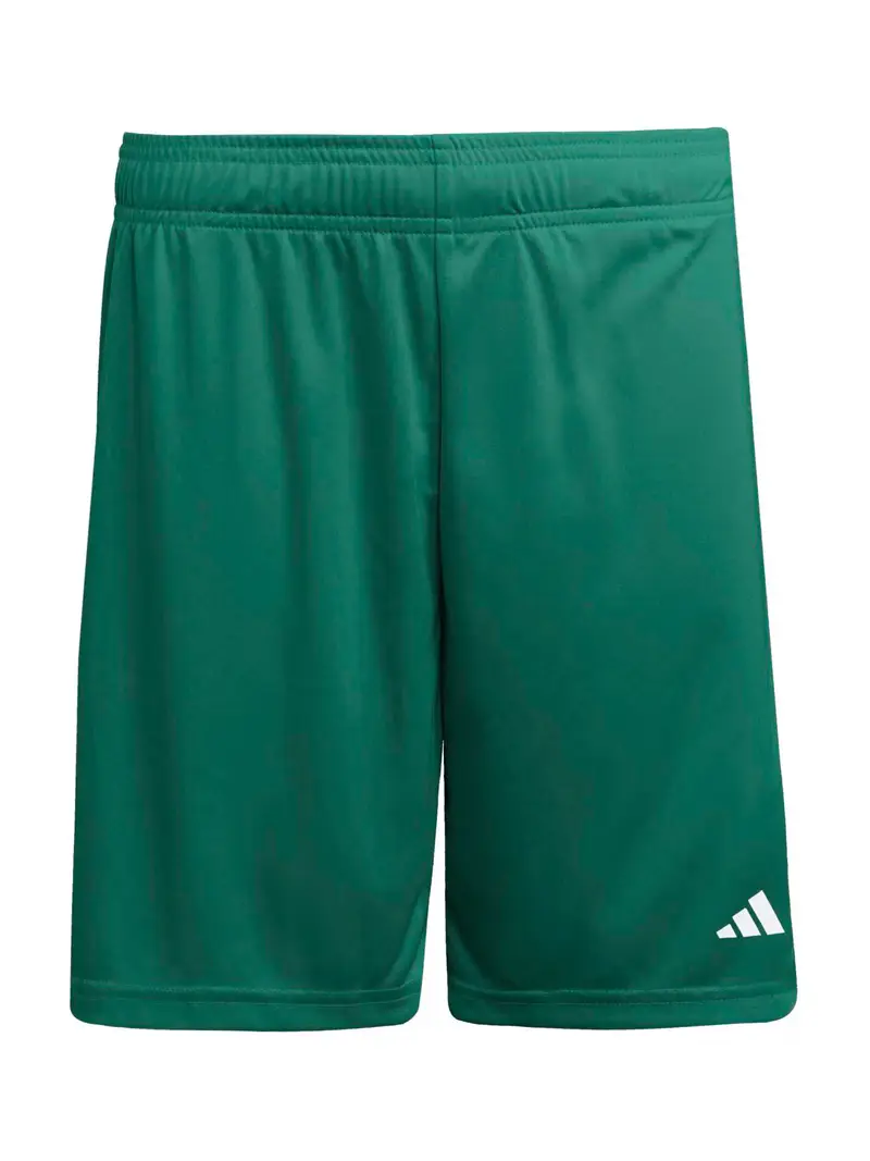 Pantaloni sportivi ENT26 verde scuro / bianco