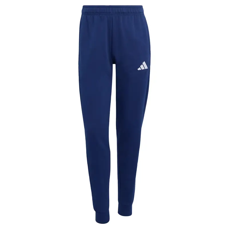 Pantaloni sportivi Entrada26 blu / bianco