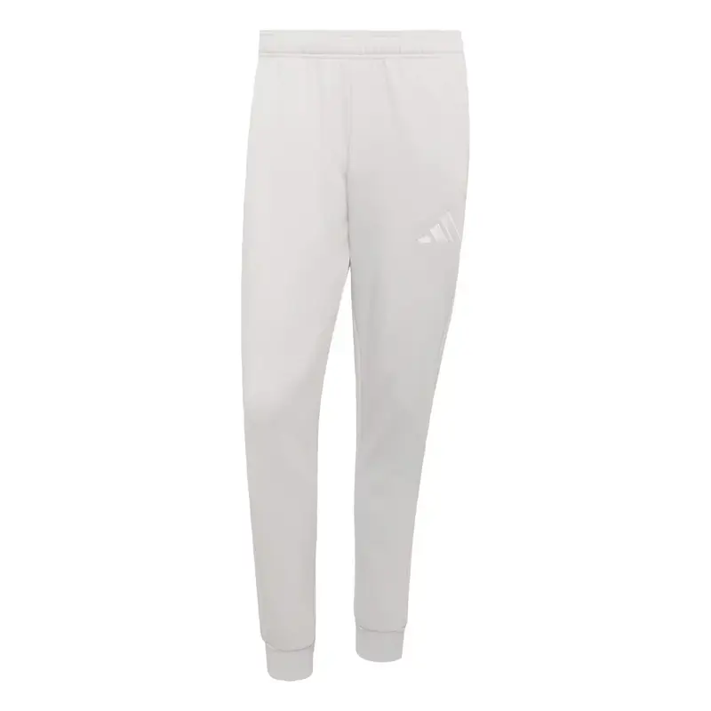 Pantaloni sportivi Entrada26 grigio chiaro / bianco
