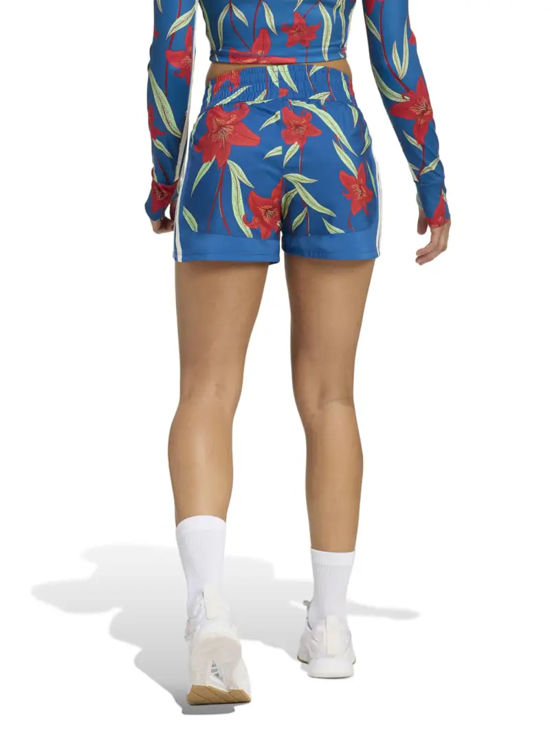 Pantaloni sportivi FARM blu / verde pastello / arancione / rosso miniatura 3