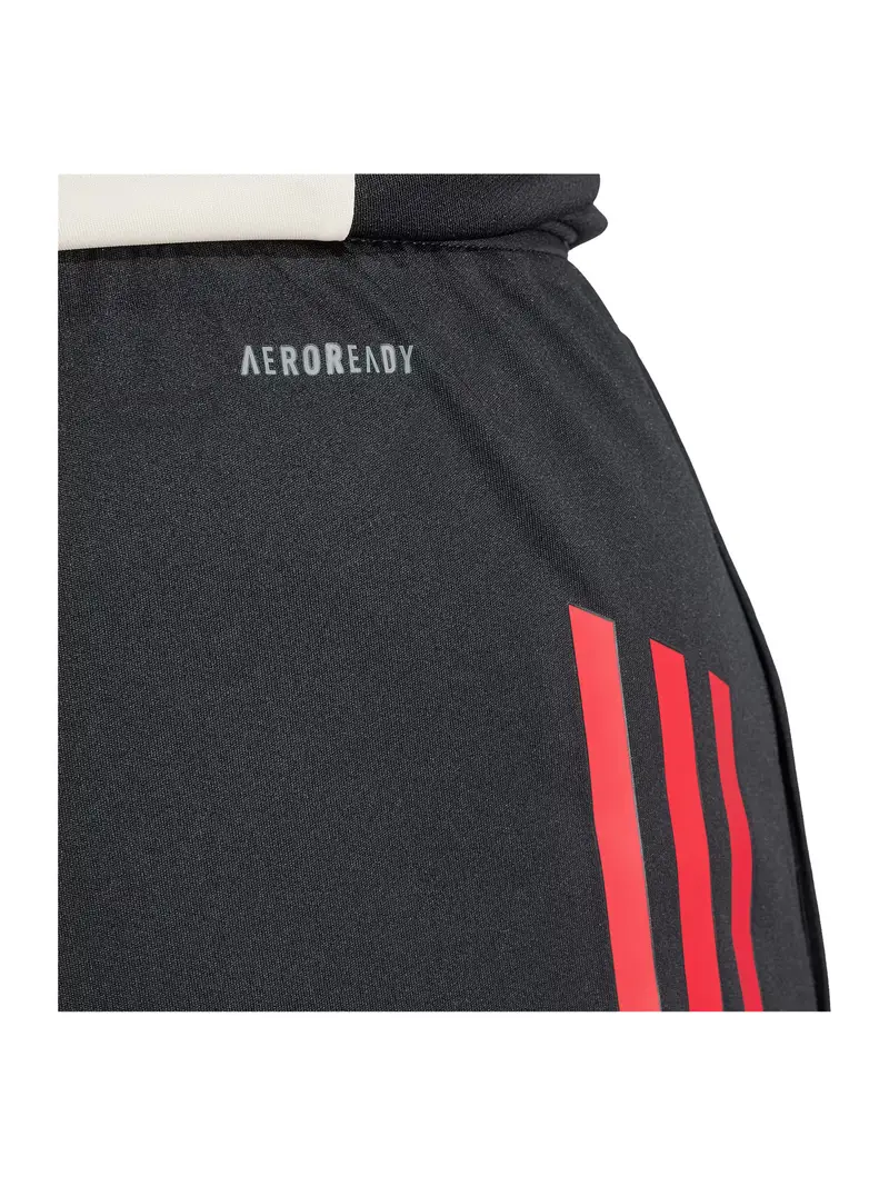 Pantaloni sportivi 'FC Liverpool Competition 2025/2026' greige / rosso / nero miniatura 3