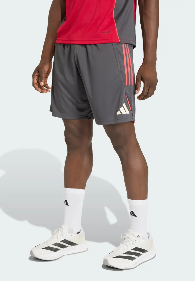 Pantaloni sportivi FC Liverpool Tiro 25 Competition antracite / melone / offwhite miniatura 2